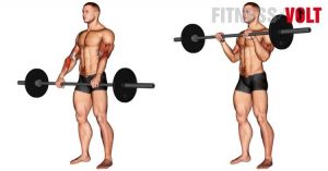 Barbell Reverse Biceps Curl