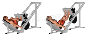leg press
